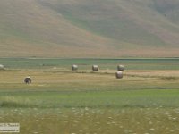 2019-07-06 P. Borghese e Porche 477